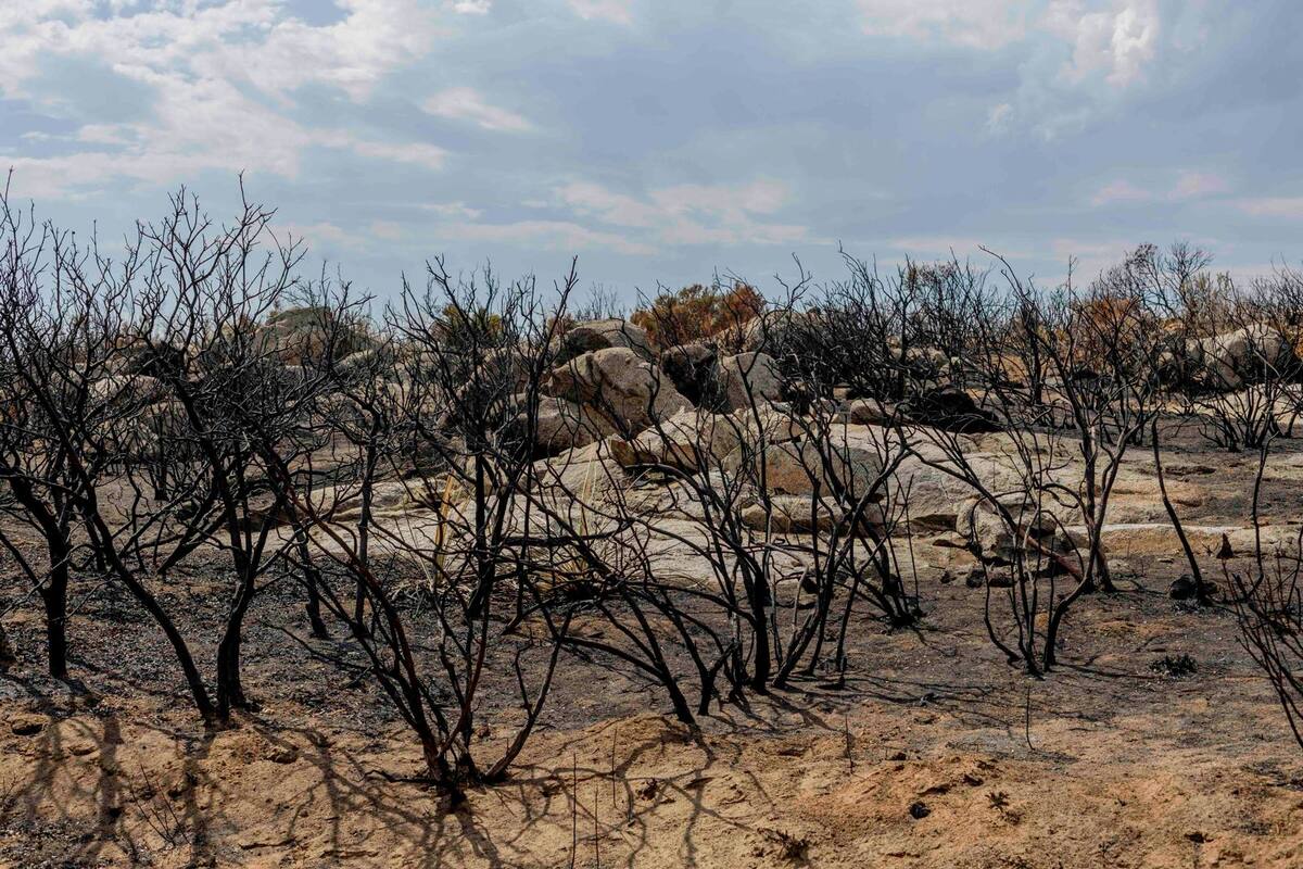 Invitan a crear conciencia sobre riesgos por altas temperaturas tras incendio