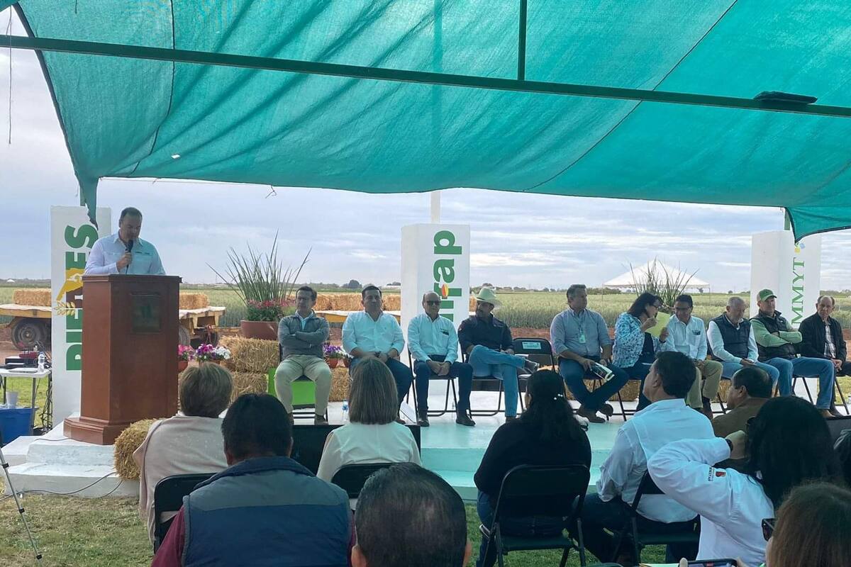 Celebran el Día del Agricultor en Cajeme