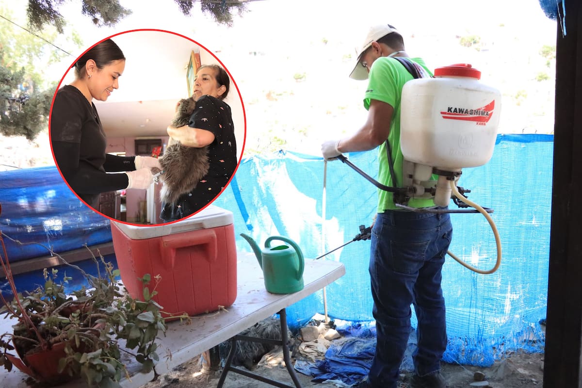 Arrancan campañas de vacunación, fumigación y esterilización de mascotas en Nogales