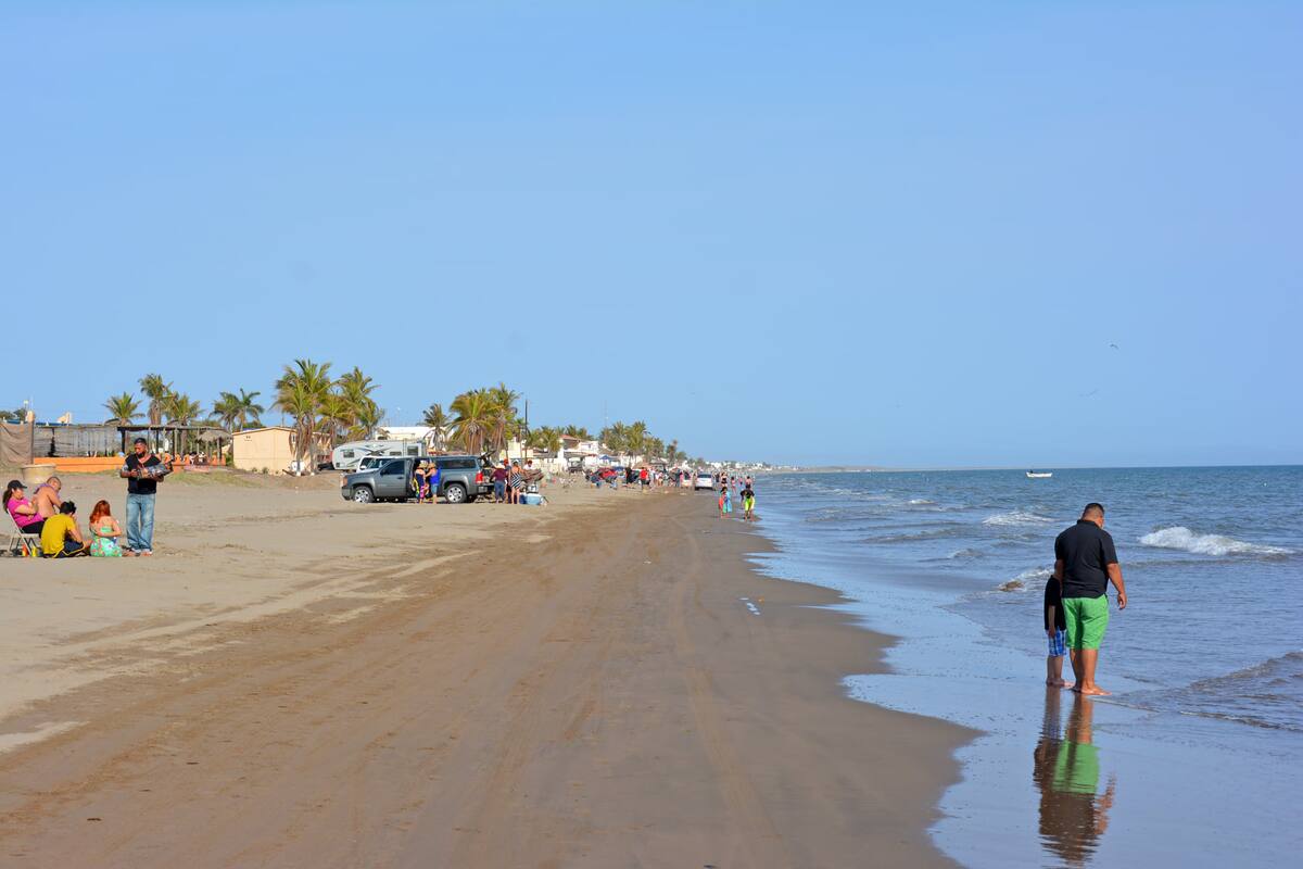 Pondrán avisos sobre riesgo de tiburones en playas del Sur de Sonora