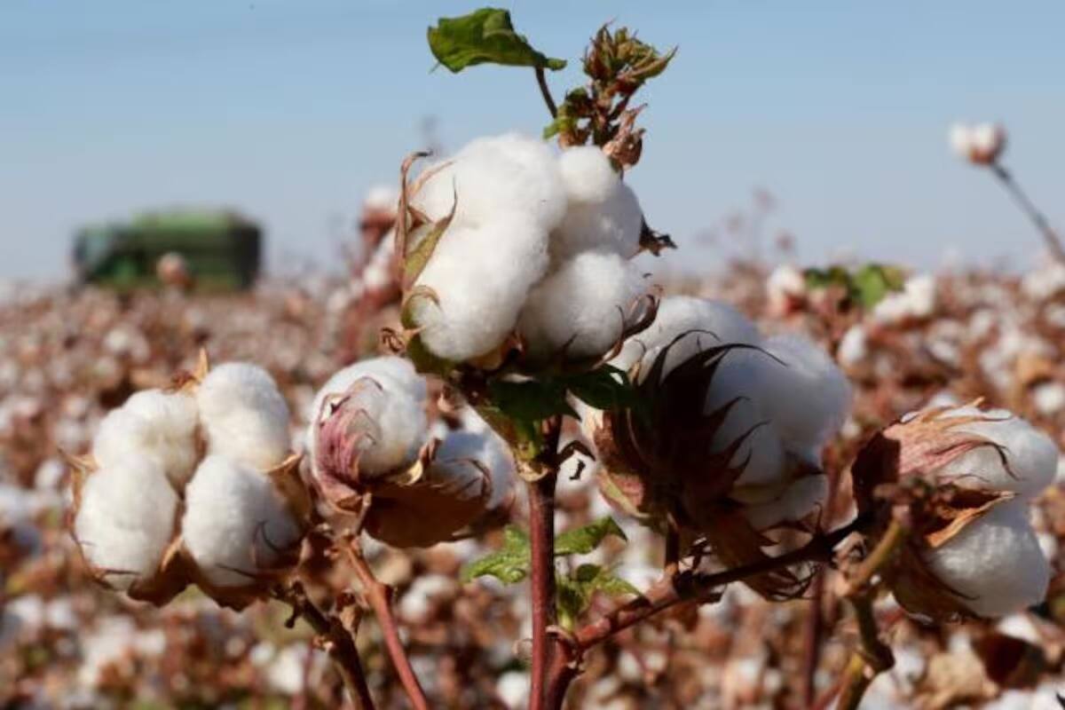 Tiene sector agrícola, cartera vencida de 800 millones de pesos