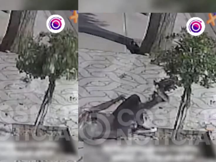 “Terminó en el piso”: Hombre en estado de ebriedad es captado peleando con un árbol… y perdiendo