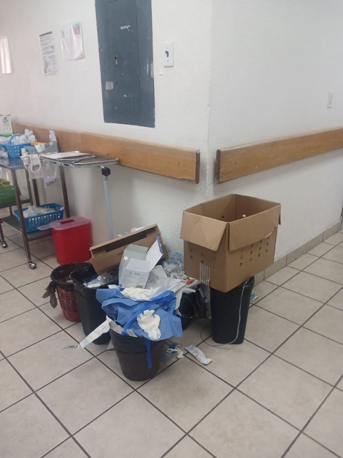 Foto: Cortesía.