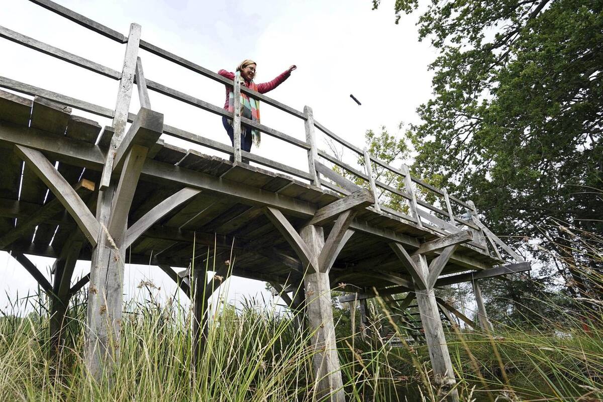 Subastarán puente de Winnie the Pooh en Inglaterra