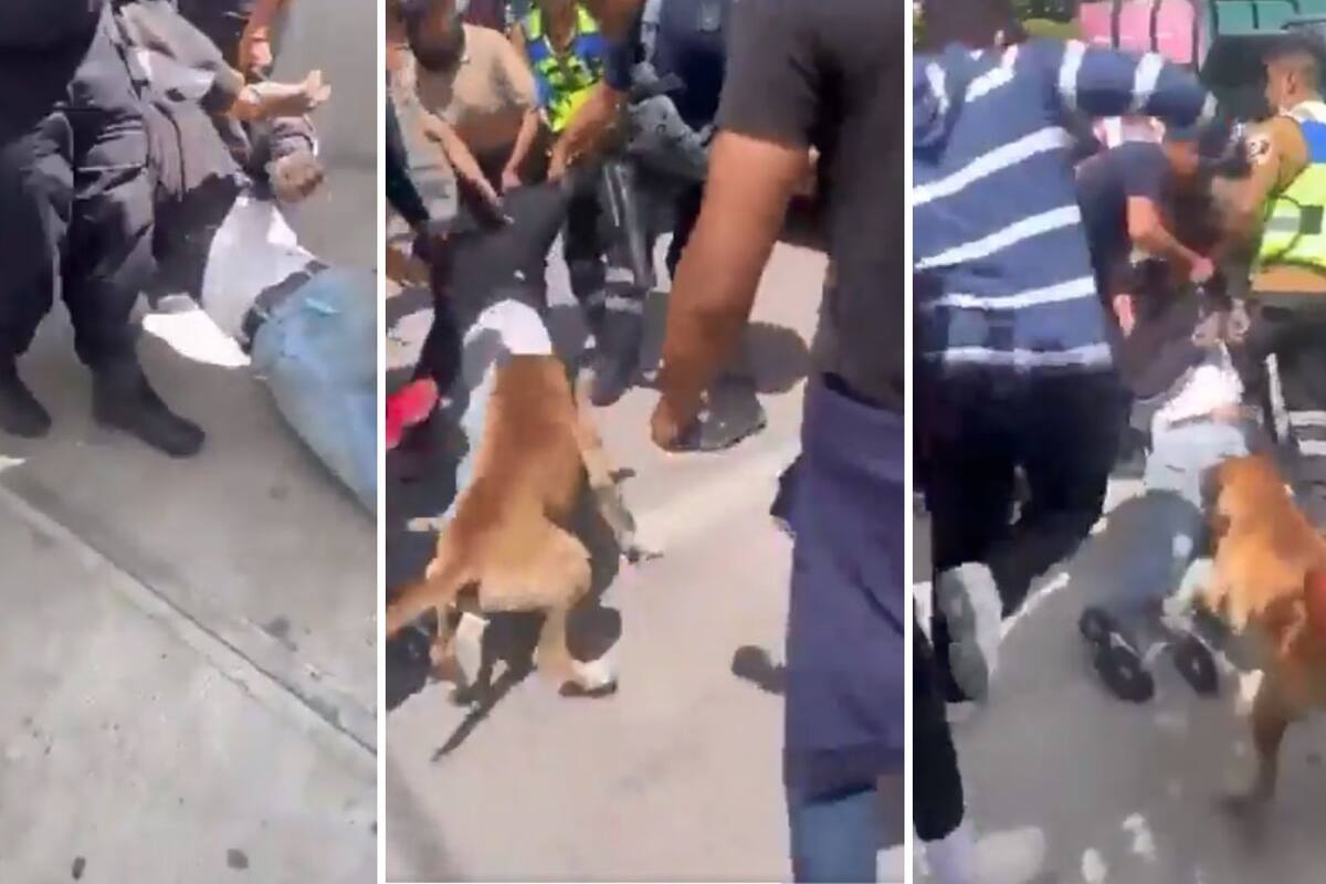 “Muérdelo, muérdelo”: Perrito se une a golpiza a ladrón capturado infraganti