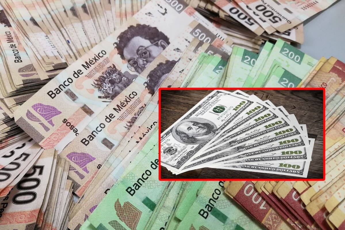 Propone IP plan de estímulos para retener inversiones en BC