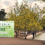 Eco Feria Ambiental 2026 llegará a la Laguna del Náinari con actividades ecológicas y reciclaje