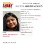 Activan Alerta Amber por Ingrid Zoé Hinojosa Hinojosa