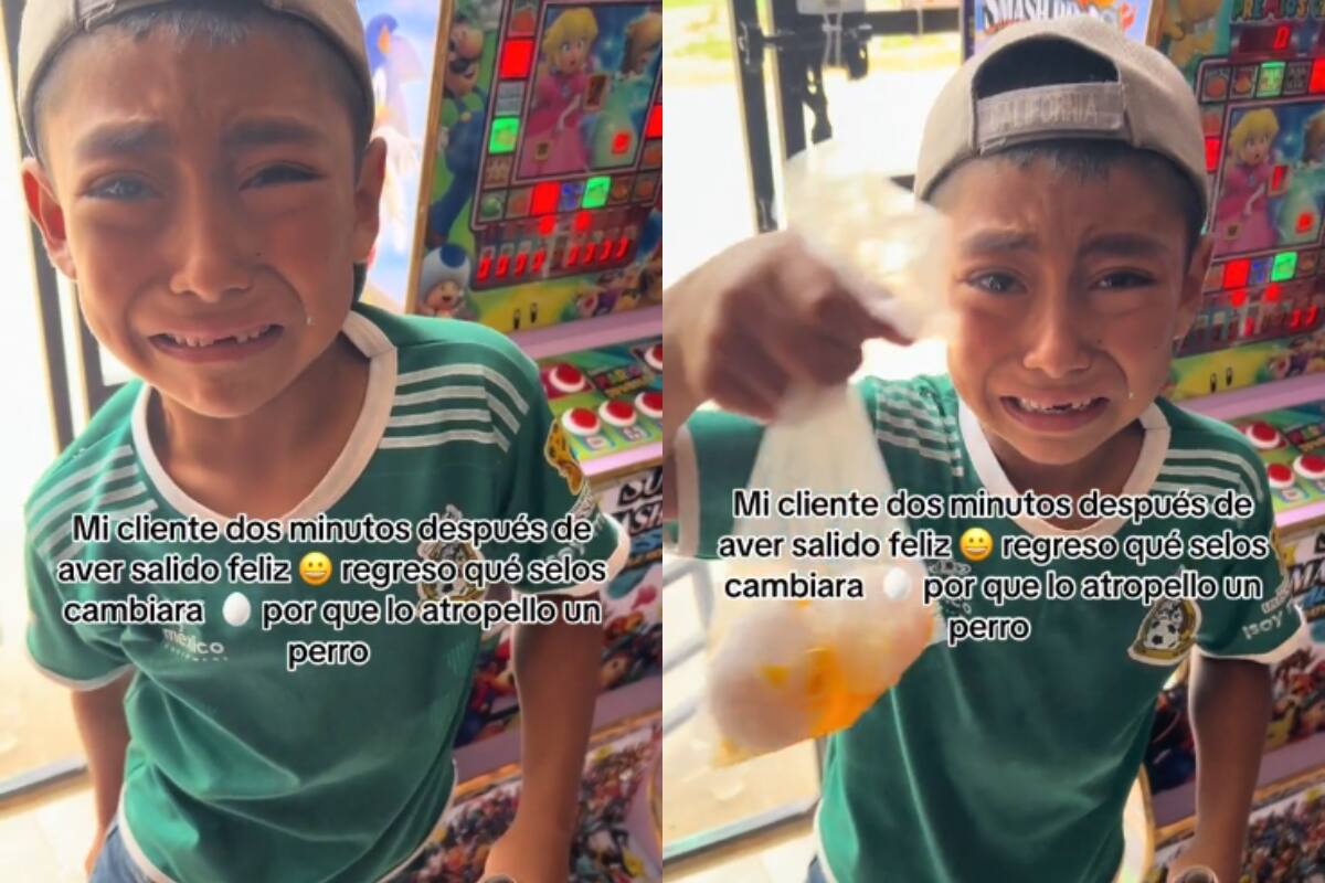 Niño regresa llorando a la tienda tras ser empujado por un perro: los huevos que compró se le rompieron