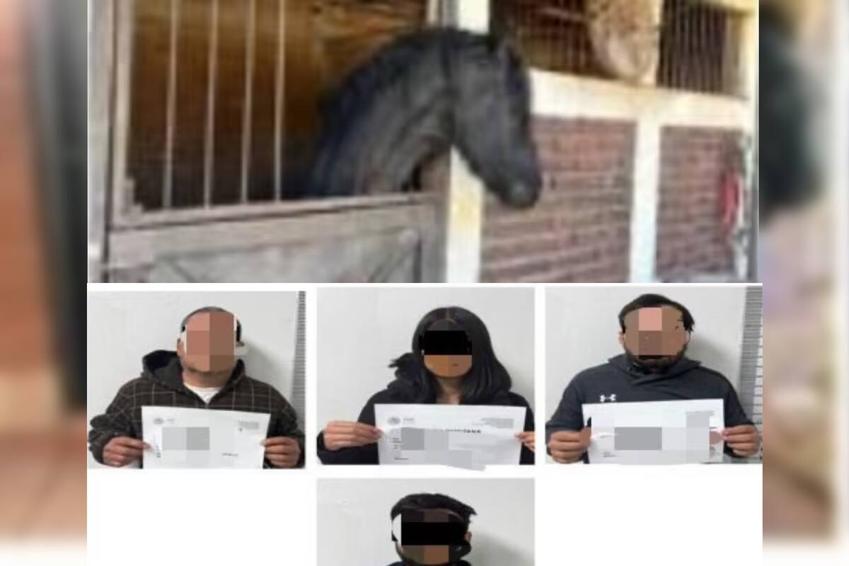 Decomisan caballos, tigres, venados, autos y armas en ejido de Nogales; hay 4 detenidos
