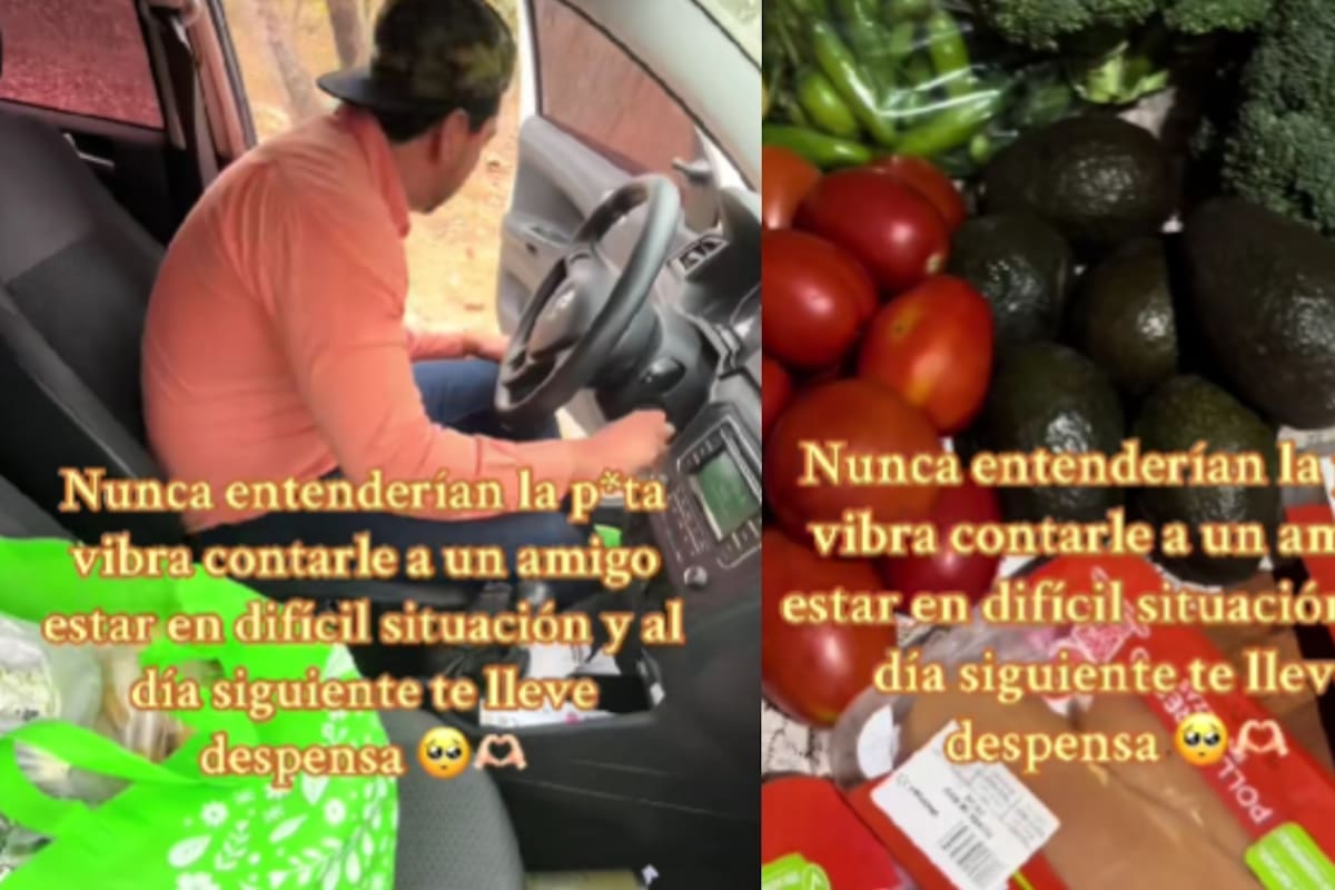 Mujer comparte cómo su amigo le llevó una despensa al enterarse de su difícil situación económica