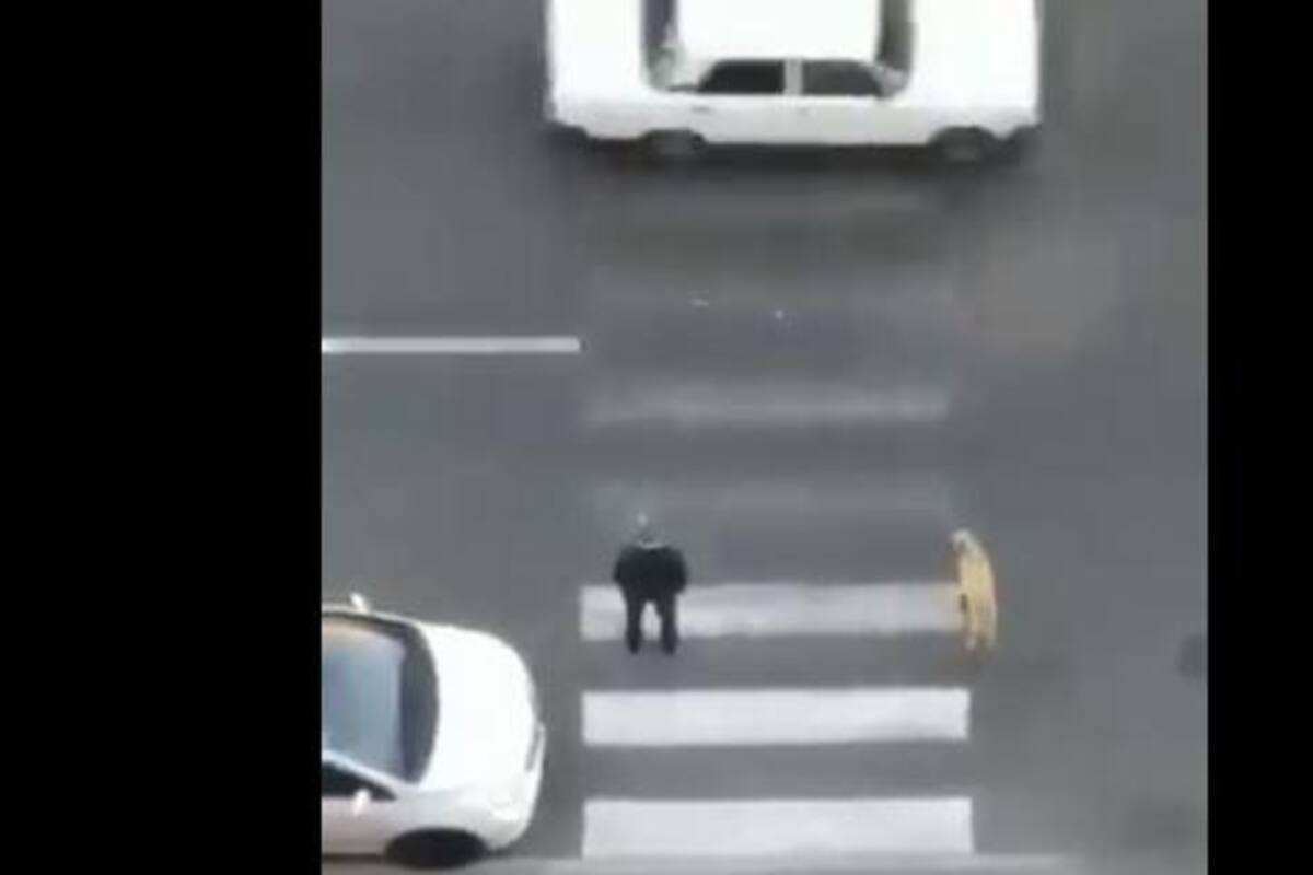VIRAL: Hombre salva a este perro de ser atropellado