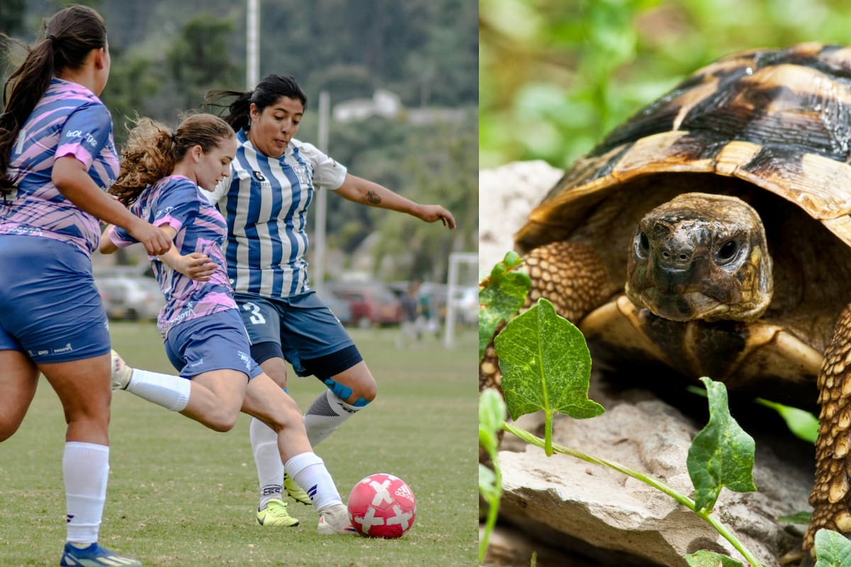 Efemérides del 23 de mayo: ¿Qué pasó un día como hoy?