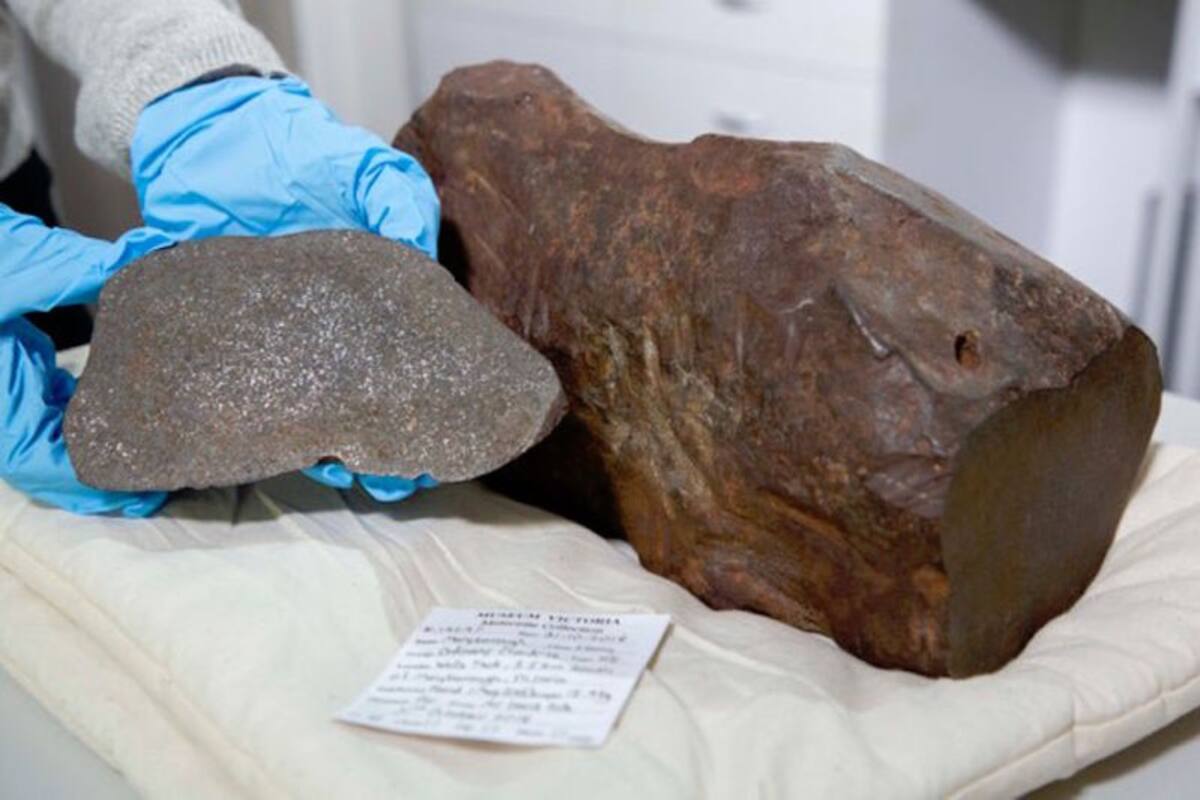 Guarda roca durante años pensando que contenía oro y en realidad era un meteorito