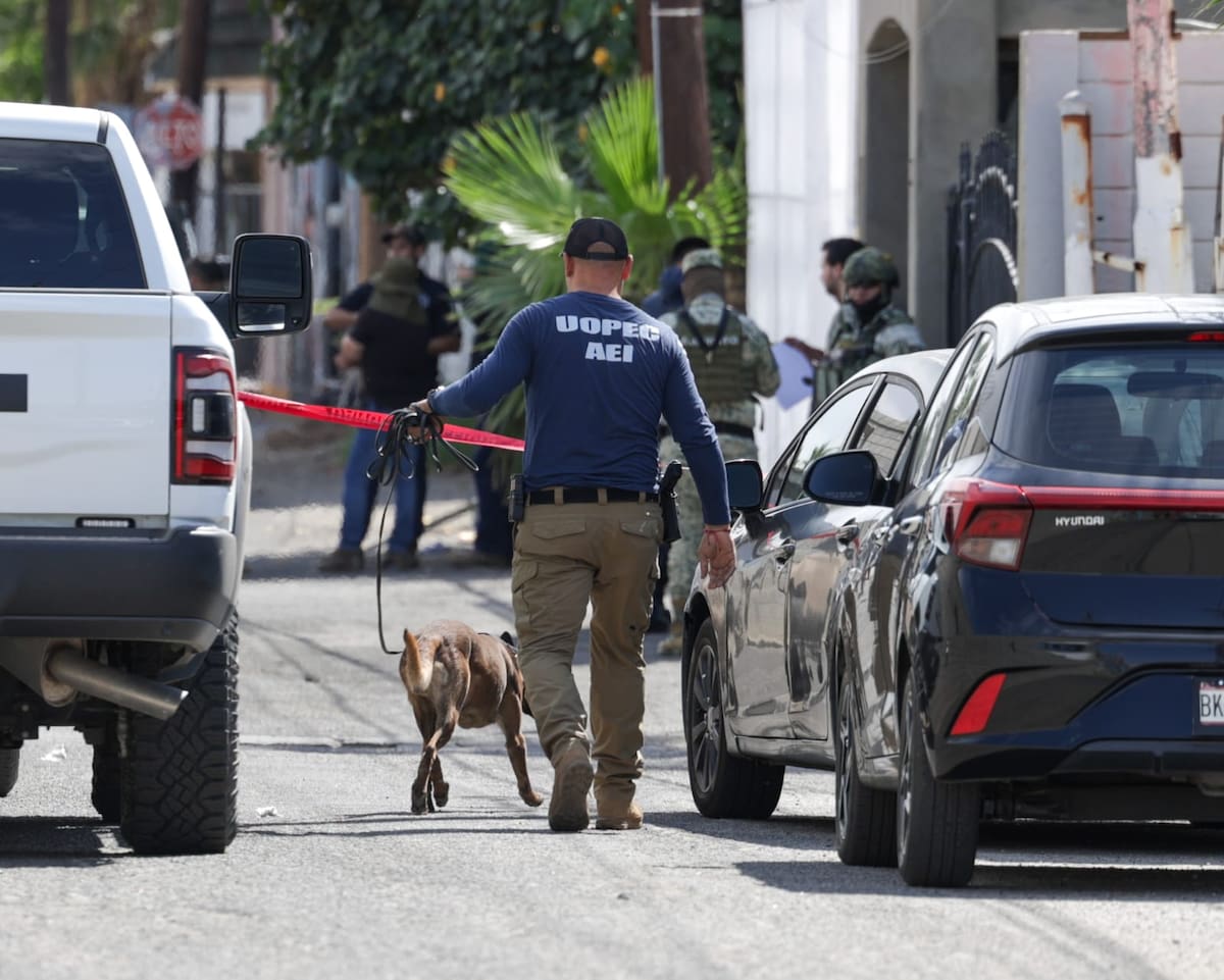 El predio forma parte de un grupo de tres sitios en los que se solicitaron órdenes de cateo por parte de Gonzalo Moreno y Soraya Ana Villarreal, padres de Kevin Moreno, joven desaparecido en 2022. l Foto: Javier Gallegos