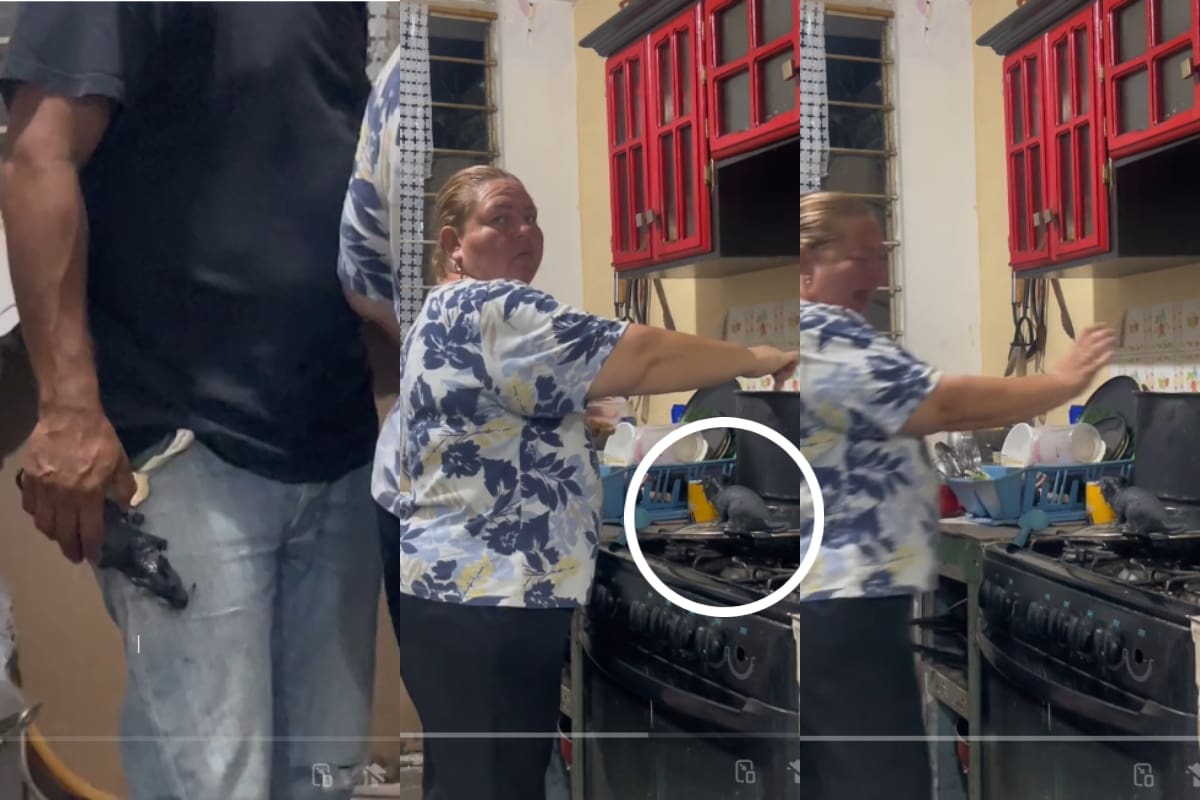Hombre le da tremendo susto a su esposa al ponerle una rata en la estufa mientras ella cocinaba | VIRAL