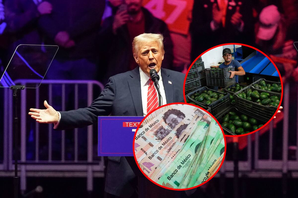 ¿Qué pasaría si México cortara su suministro de energía y comercio con Estados Unidos en represalia por los aranceles propuestos por Trump?