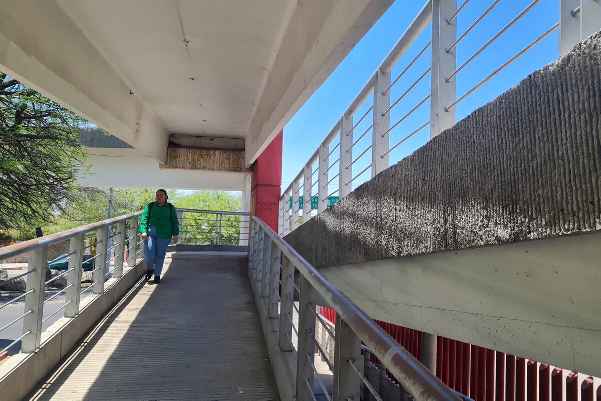 “Jalan las orejas” a peatonesen el puente HGE-Unison