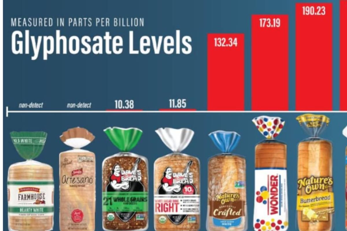 Alerta en Florida tras detectarse glifosato, un pesticida agrícola ampliamente utilizado, en varios productos de pan