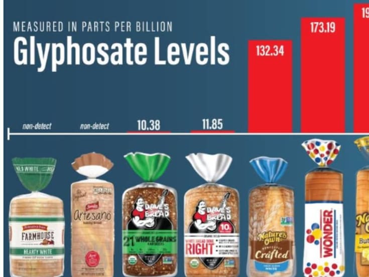 Alerta en Florida tras detectarse glifosato, un pesticida agrícola ampliamente utilizado, en varios productos de pan