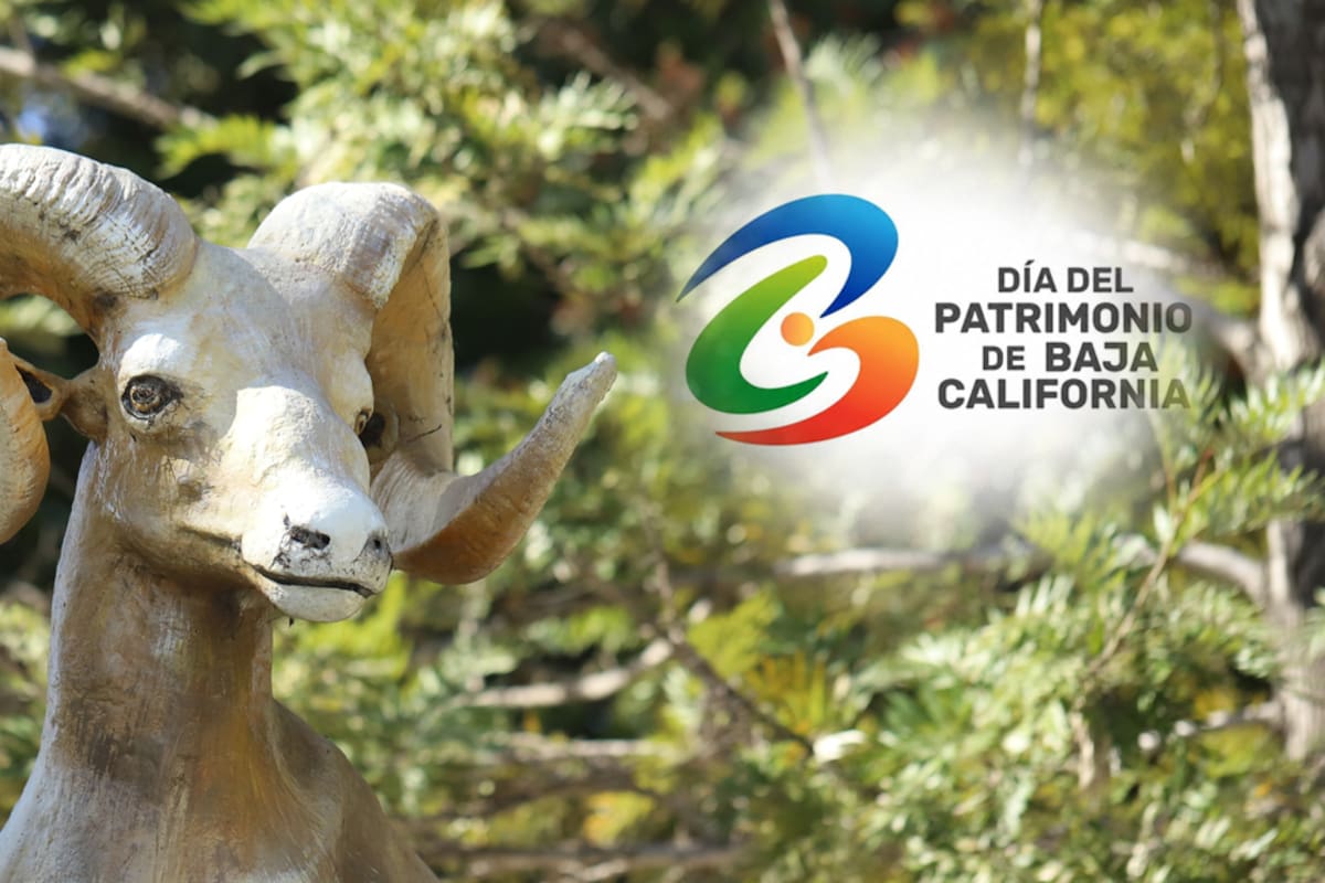 Día del Patrimonio de Baja California prepara su segunda edición con actividades gratuitas en los siete municipios