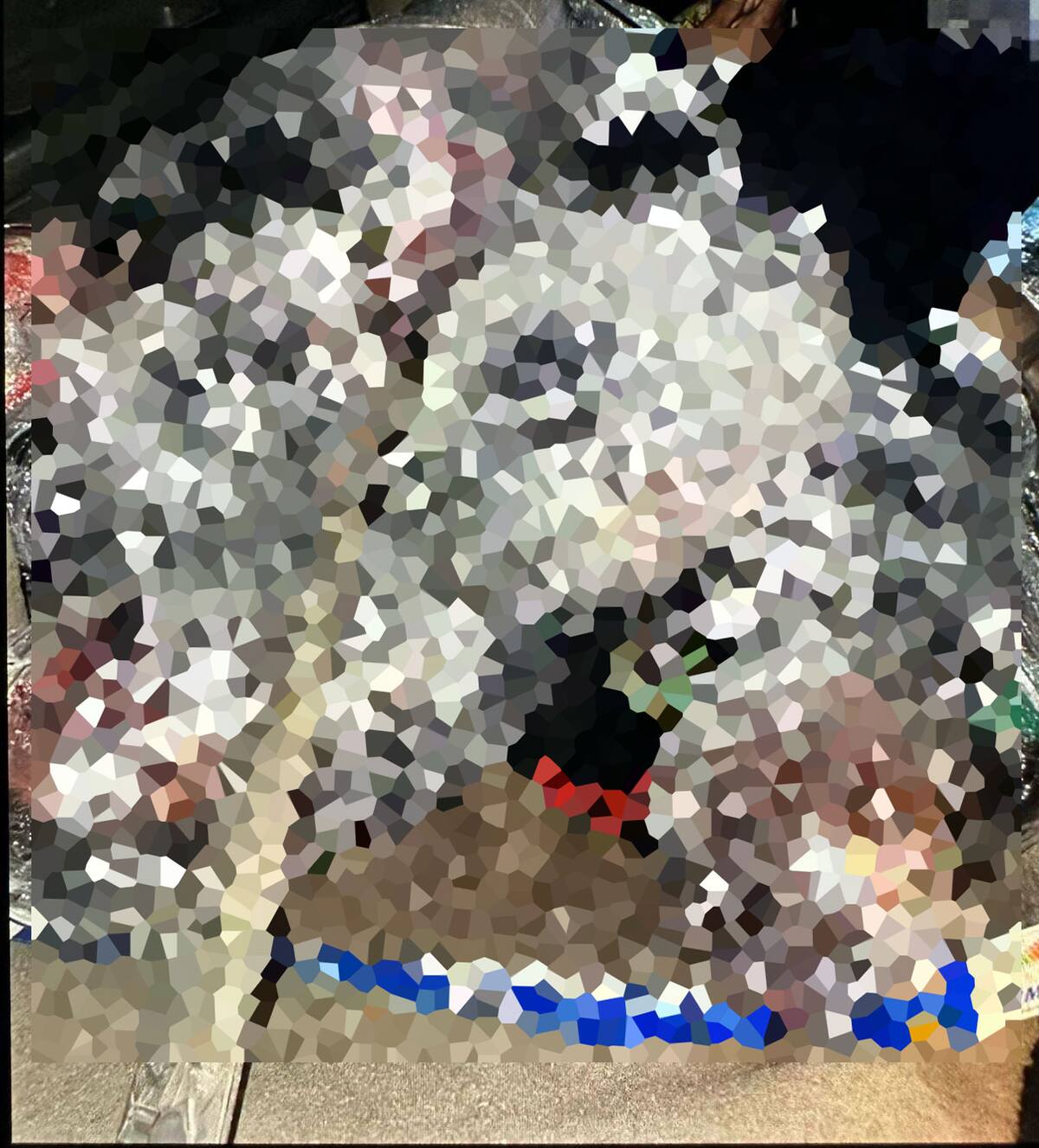 Las víctimas además de huellas de violencia presentaban impactos de bala y estaban cubiertas con plástico.