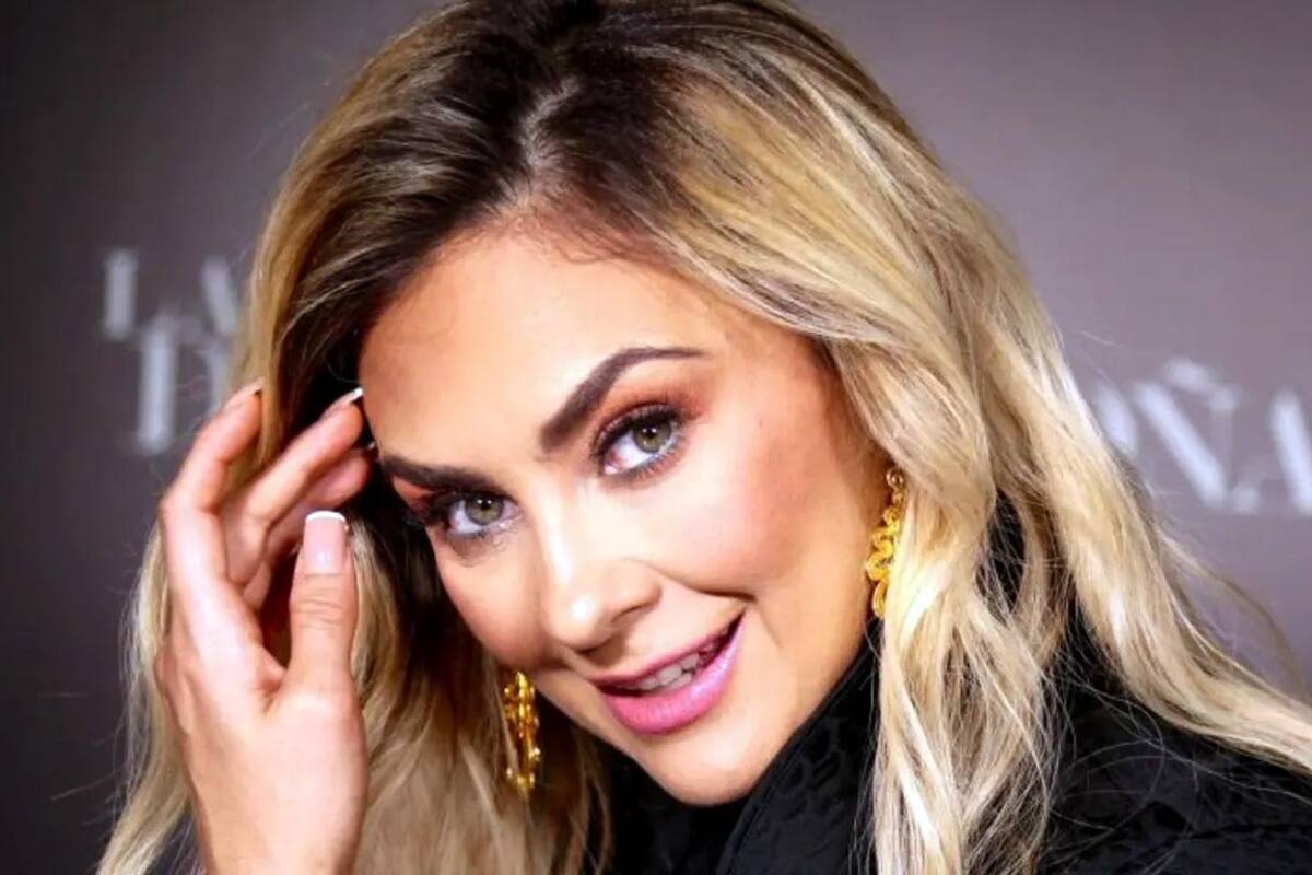 Aracely Arámbula habla con su abogado sobre incidente con reporteros en Los Ángeles