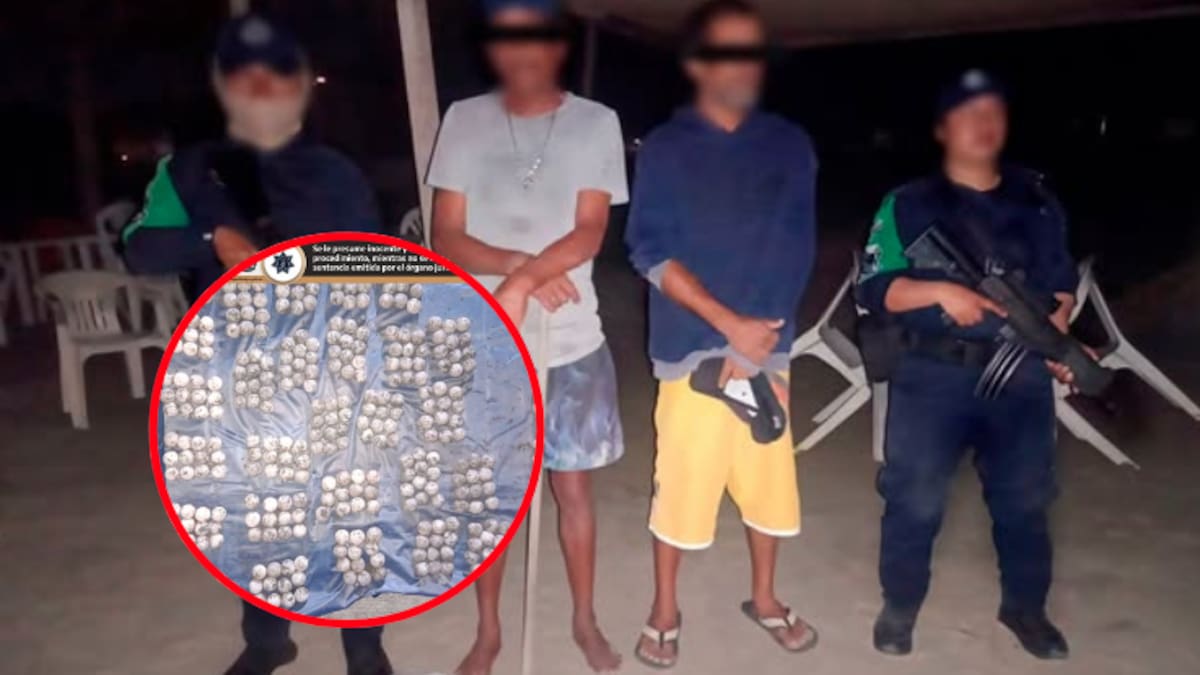 Saqueo de nido en Acapulco: detienen a dos hombres con 367 huevos de tortuga marina en plena madrugada