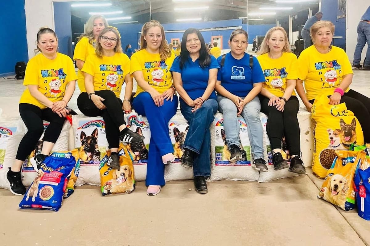 Impulsan apoyo a refugios con colecta de alimento para perros en SLRC