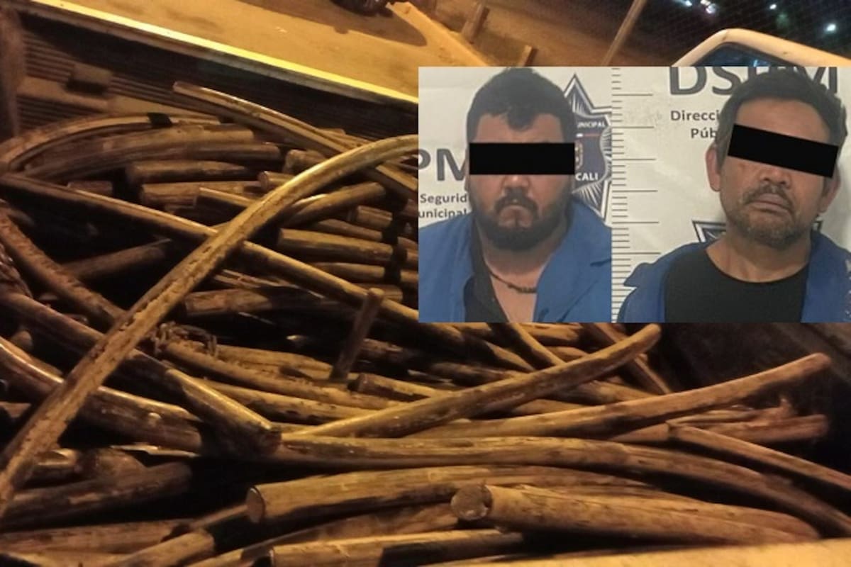 Robaban cableado de telefonía en Valle del Puebla; son detenidos