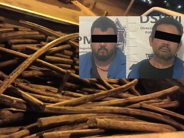 Robaban cableado de telefonía en Valle del Puebla; son detenidos