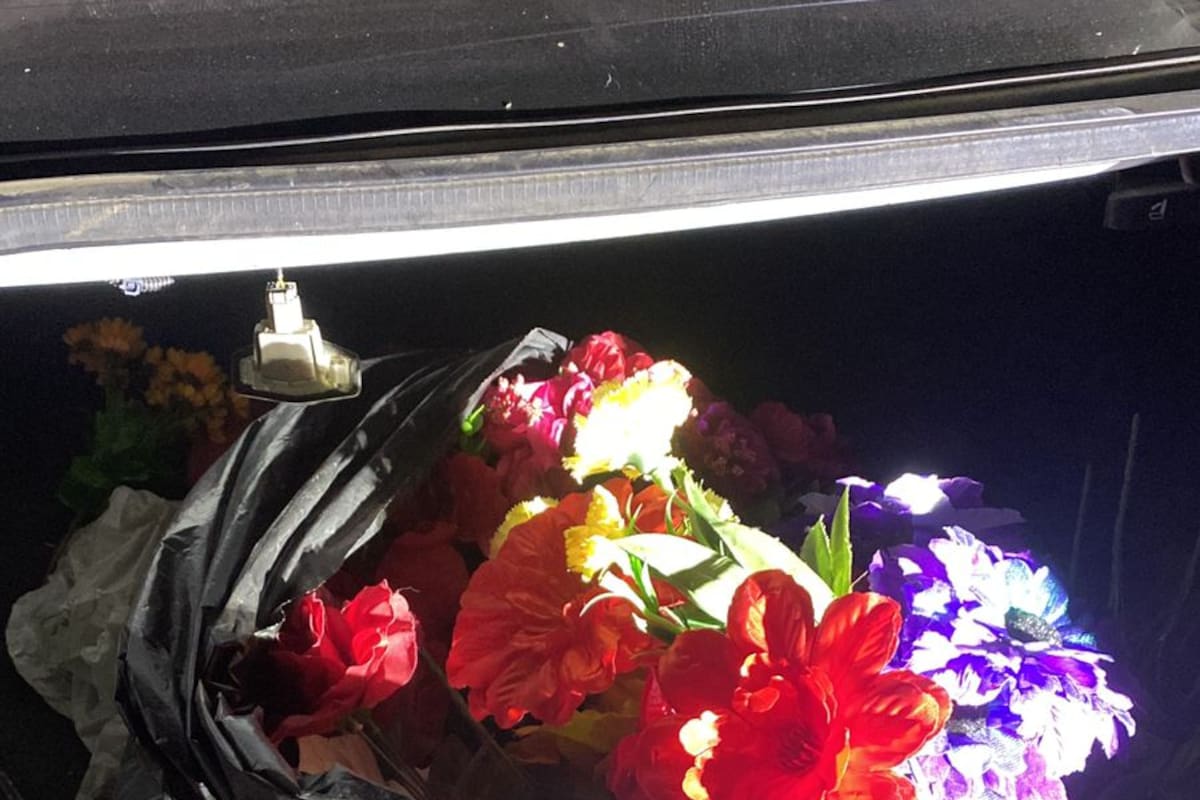 Detienen a cuatro mujeres por robar flores de tumbas en panteón de La Puerta