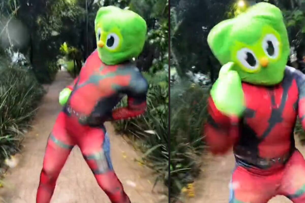 La cuenta oficial de Duolingo sube un video de su mascota imitando el baile de Deadpool