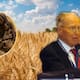 Norman Borlaug: El hombre que ayudó a salvar mil millones
