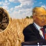 El hombre que ayudó a salvar a cerca de mil millones de personas: Norman Borlaug, el científico que transformó el trigo en México y llevó su revolución agrícola a varios países del mundo