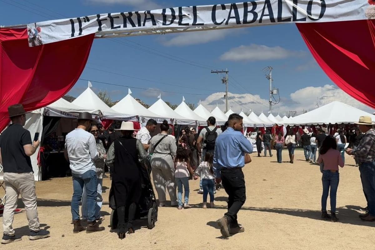 Vino, tradición y ritmo ecuestre toman el Valle de Guadalupe