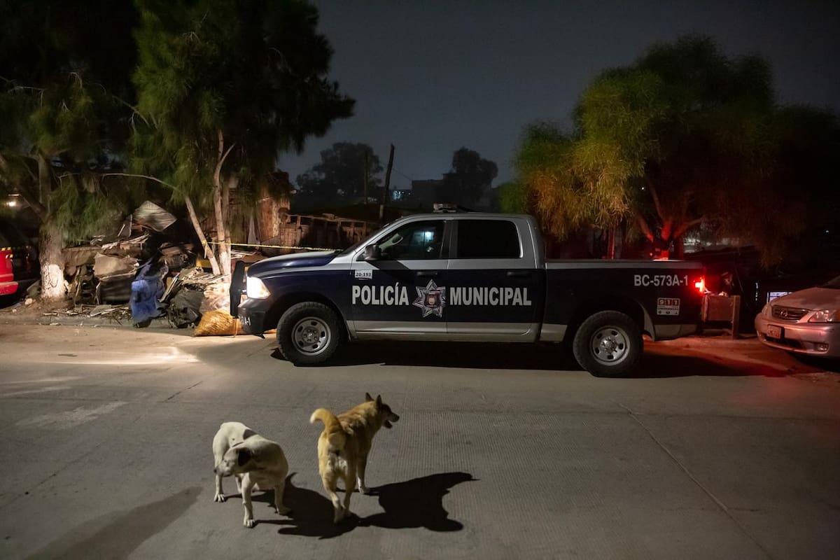 La víctima fue localizada en un domicilio de la colonia Pedregal de Santa Julia. Foto: Cortesía