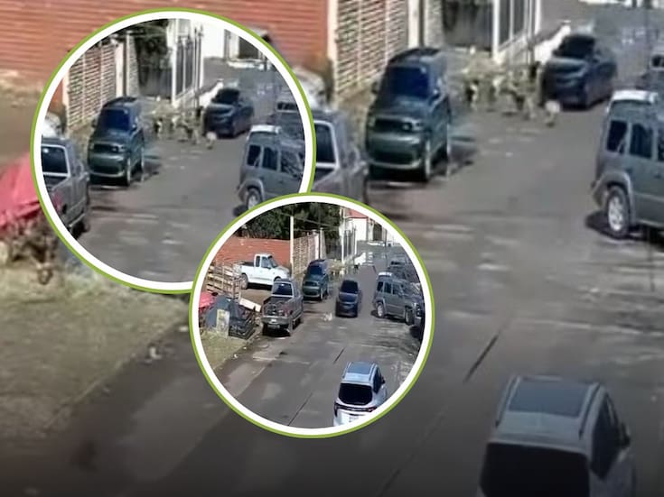 Atropella a varios perros en Cananea: Buscan a conductor tras haberse difundido el video; Así van las investigaciones