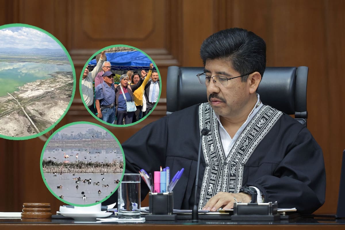 Ya es oficial: Propietarios y poseedores del Lago de Texcoco sí podrán reclamar compensaciones ante un juez aunque la Suprema Corte mantuvo vigente el área natural protegida y ordenó revisar el interés legítimo de quienes tienen predios dentro del polígono ambiental