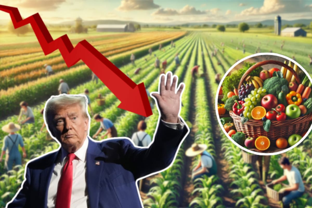 Trump prometió “bajar los precios” en los supermercados, pero su otra promesa de campaña podría impedirlo