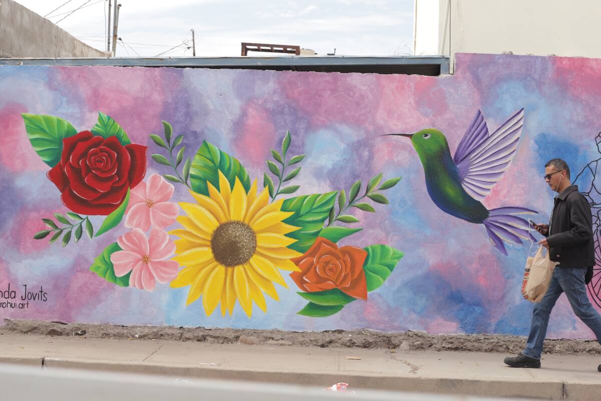 ¡Ya es Primavera! a partir de hoy habrá más horas de luz solar