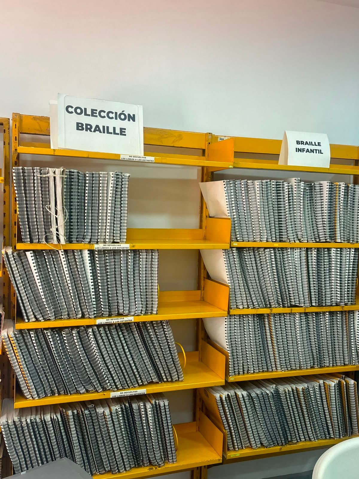La Biblioteca Pública Braulio Maldonado se encuentra en la etapa final de su remodelación y prevé reabrir en septiembre con nuevas áreas, mejor infraestructura y servicios renovados. Foto: Lorena Salinas