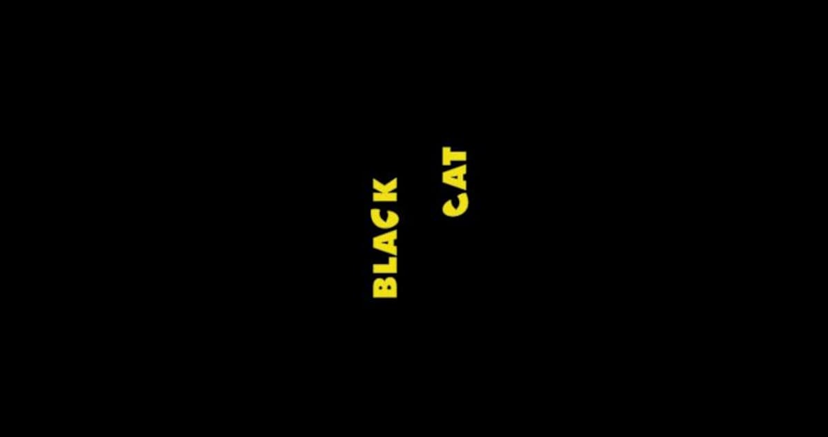 acertijo visual encuentra al gato