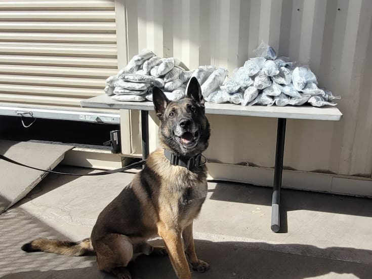 Revela CBP Total de decomisos durante enero de 2026 en garitas de Nogales