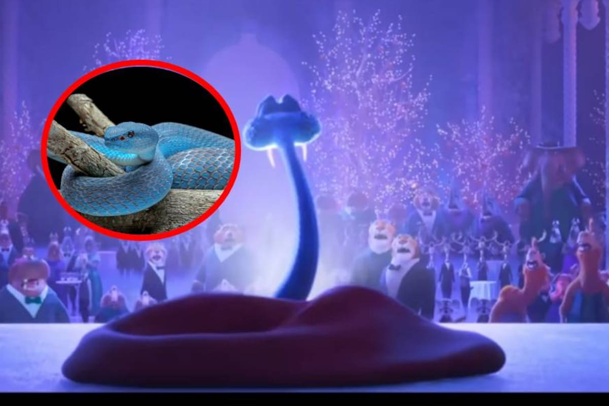 Zootopia 2 genera preocupación en China por el aumento del comercio ilegal de serpientes azules