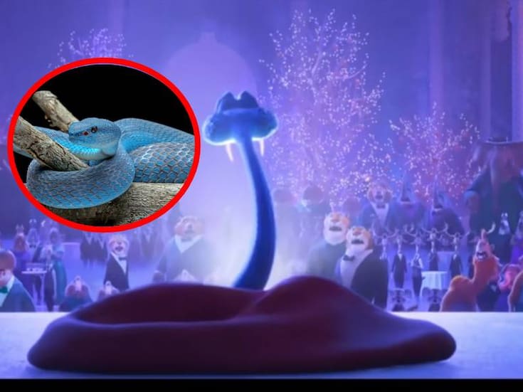 Zootopia 2 genera preocupación en China por el aumento del comercio ilegal de serpientes azules