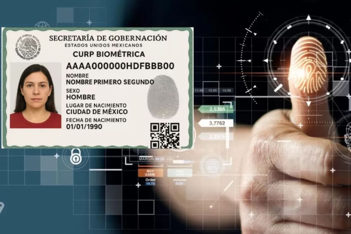 Estos son los trámites oficiales que aceptan la CURP tradicional y la nueva versión biométrica bajo el esquema de validez general autorizado