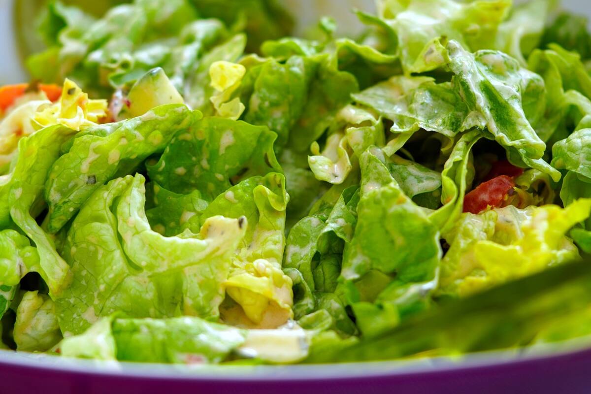 Ensalada César: ¿Cuál es el origen?