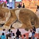 Gato gigante conquista Aeropuerto Internacional de Hong Kong con su ronroneo y adorable aspecto: todo lo que sabemos del michi (VIDEO)