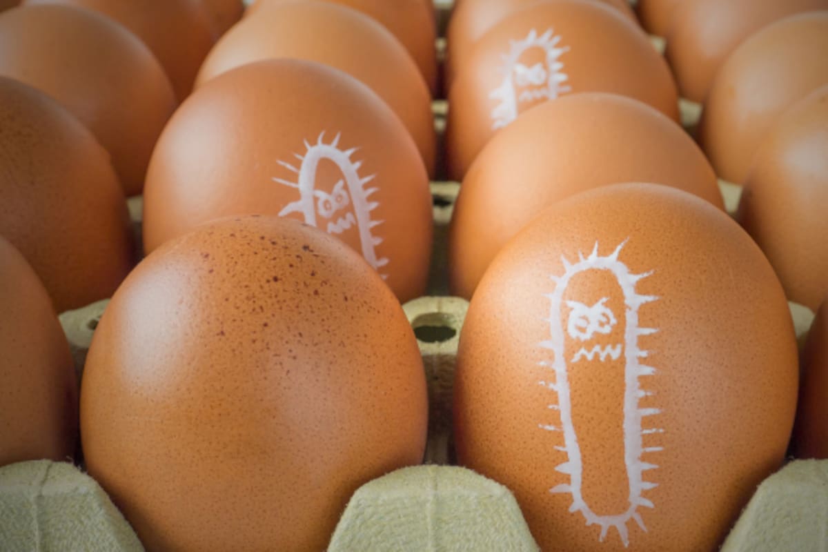 ¿Los huevos retirados por salmonela en Estados Unidos llegaron a México? La FDA aclara que los lotes afectados no fueron distribuidos oficialmente en el país
